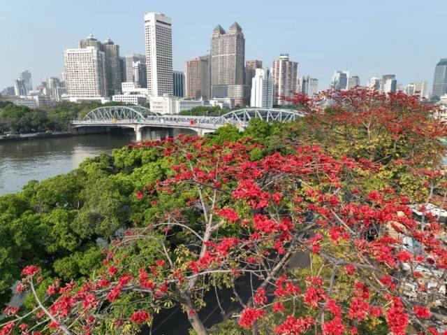 又一批中國20世紀建筑遺產(chǎn)！海珠這座跨江橋入選！