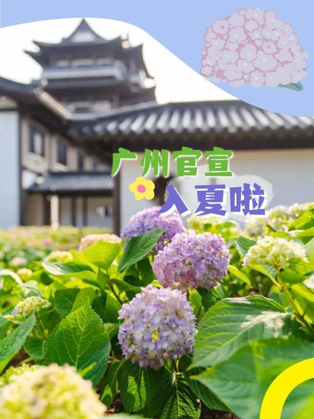 夢幻花海上新！廣州官宣入夏！