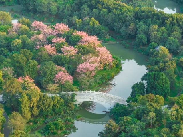 把“秋天”帶回家！Garden Walk漫游指南請查收